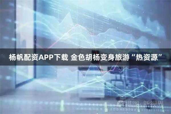 杨帆配资APP下载 金色胡杨变身旅游“热资源”