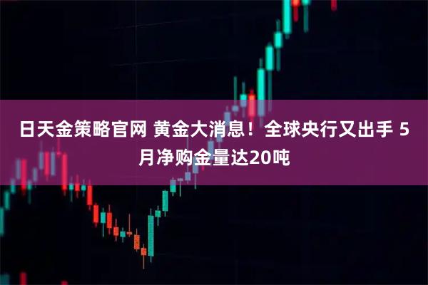 日天金策略官网 黄金大消息！全球央行又出手 5月净购金量达20吨