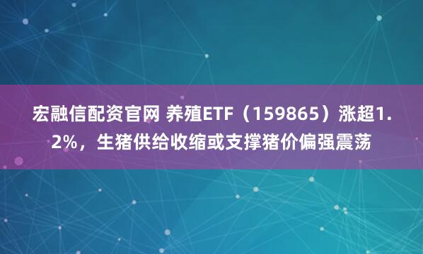 宏融信配资官网 养殖ETF（159865）涨超1.2%，生猪供给收缩或支撑猪价偏强震荡