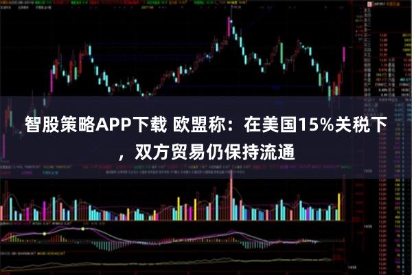 智股策略APP下载 欧盟称：在美国15%关税下，双方贸易仍保持流通